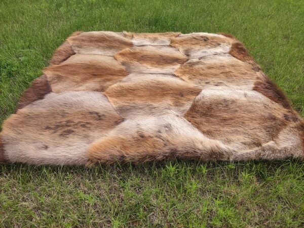 Beaver Blanket