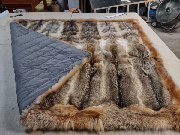 Coyote blanket with trim