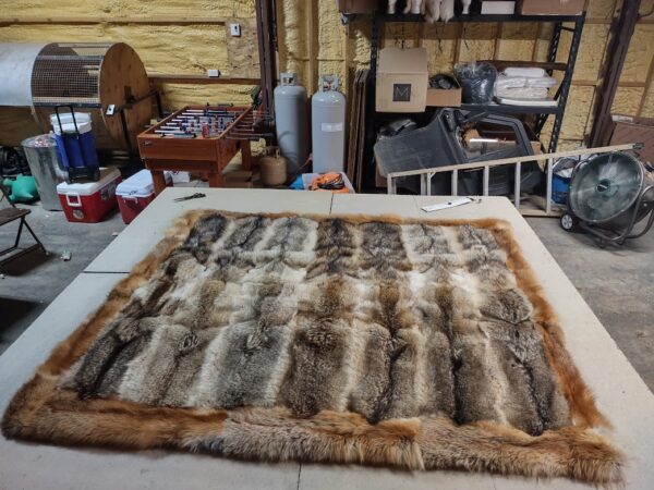 Coyote blanket with trim